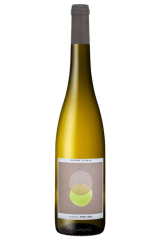 Pinot Gris 2023 | Sophie...