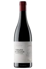 Parajes de Callejo 2021 | Ribera del Duero | Vinaris