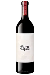 Born of Fire Syrah Organic 2021 | Julien Schaal | Vinaris