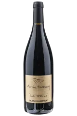 La Paterne Rouge 2022 | Antoine Sanzay | Saumur Champigny | Vinaris