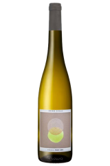 Pinot Gris 2024 | Sophie...