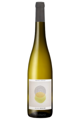Riesling 2024 | Sophie...