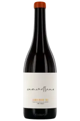 Caminollano Airén Brisado Tinaja 2023 | Llámalo X | Vinaris