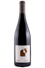 Sous le Figuier 2022 |...