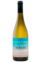 Caneco 2025 | Narupa Vinos...