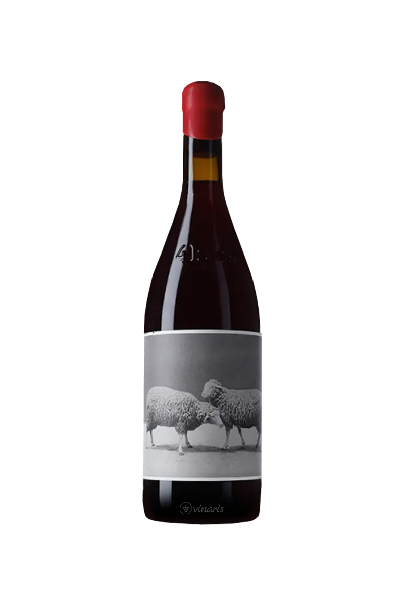 4kilos 2023 | Mallorca | Vinaris
