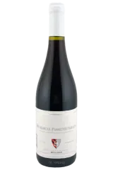 Passe-tout-grains 2024 | Domaine Bellang | Burgundy | Vinaris