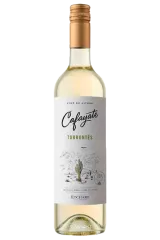 Cafayate Torróntes 2024 | Salta | Argentina | Vinaris