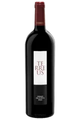Mauro Terreus 2019 | Paraje De Cueva Baja | Vinaris