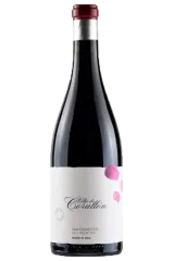Villa de Corullón 2019 | Descendientes de José Palacios | Bierzo | Vinaris