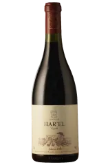 Clos de Gat 2015 | Har'El Syrah | Ayalon Valley | Vinaris