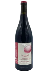 L'Ingénu 2020 | Ratapoil | Jura | Vinaris